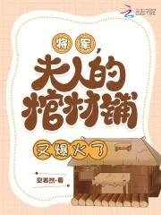 将军夫人命