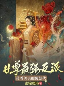 穿越女尊当王爷独宠夫