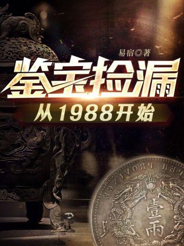 鉴宝捡漏从1988开始全文