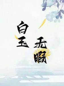 猜字谜白玉无瑕打一字