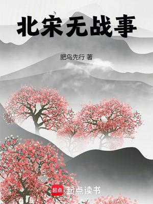 北宋无战事肥鸟