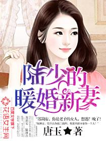 陆少的暖婚新妻多少字