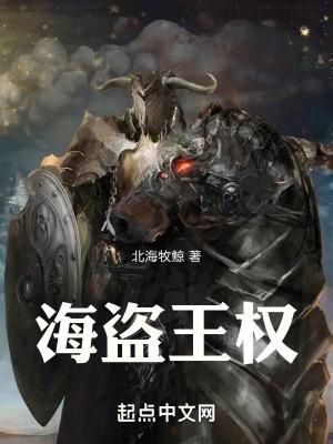 海盗王权epub